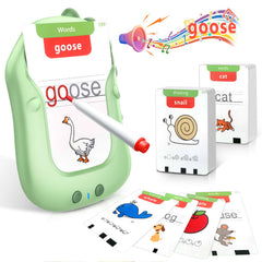 Talking Flash Card Reader