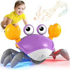 Crawling Crab Toy